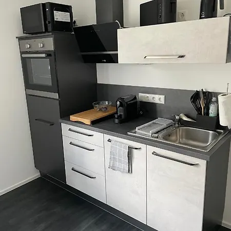 Saaldorf-ferienhaus Mit 6 45qm-120qm Direkt Am Thueringer Meer-bleilochtalsperre Appartement Bad Lobenstein