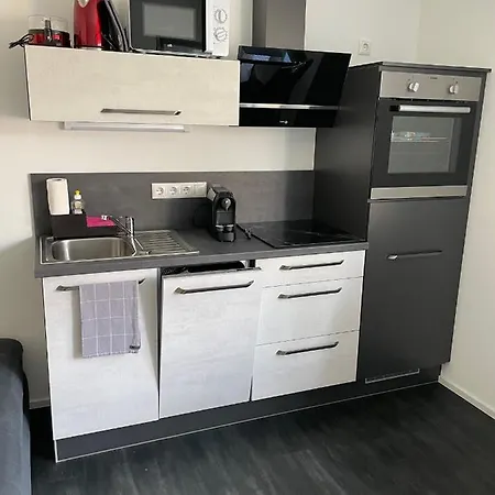 Saaldorf-ferienhaus Mit 6 45qm-120qm Direkt Am Thueringer Meer-bleilochtalsperre Appartement Bad Lobenstein