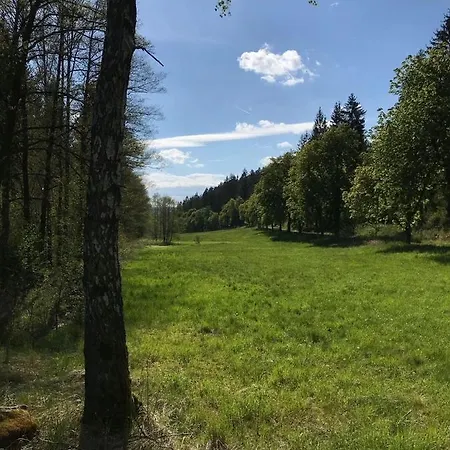 Saaldorf-ferienhaus Mit 6 45qm-120qm Direkt Am Thueringer Meer-bleilochtalsperre