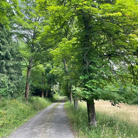 Saaldorf-ferienhaus Mit 6 45qm-120qm Direkt Am Thueringer Meer-bleilochtalsperre شقة باد لوبنشتاين