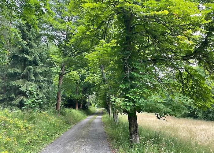 Saaldorf-ferienhaus Mit 6 45qm-120qm Direkt Am Thueringer Meer-bleilochtalsperre Appartement Bad Lobenstein